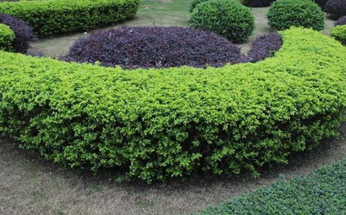 精细化管理， 我们是这样开始的