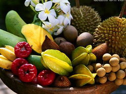 防治白粉病， 还要注意这些