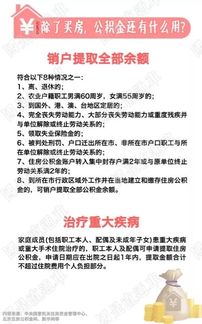 海关新政对购买数量的限制变化， 热门品牌价格波动趋势分析