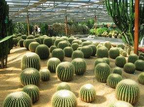 温室里的宝贝们