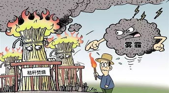 保护环境，人人有责