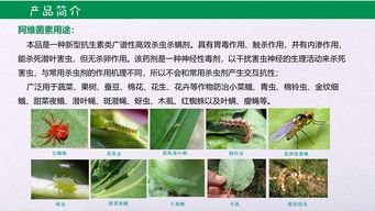 使用阿维菌素的注意事项