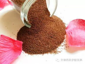 海藻面膜颗粒：神秘植物种子，护肤新宠！