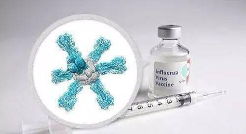 药剂选择：小心药害的发生