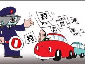 如何降低鹅兔内脏处理成本，避免罚款，实现全流程避坑，节省40%费用？