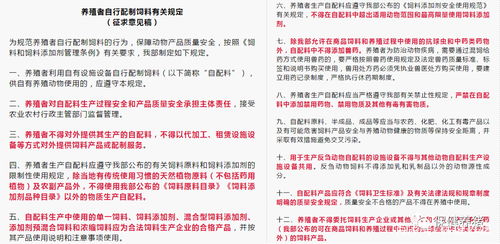 饲料禁抗政策实施后哪些受益股为何突然成为市场焦点？