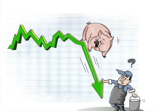 猪场风险预警：10处疏忽易招祸