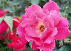 保暖，不嫩马虎