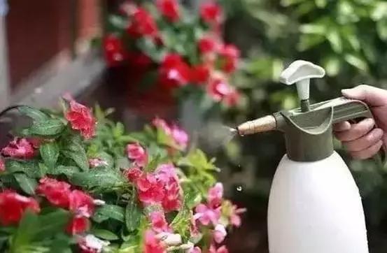 营养液的注意事项