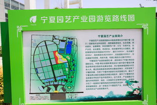 宁夏园艺农药购买指南：注意事项大揭秘