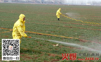 草甘膦除草剂使用时如何正确操作并注意哪些事项以避免对作物和环境造成伤害？