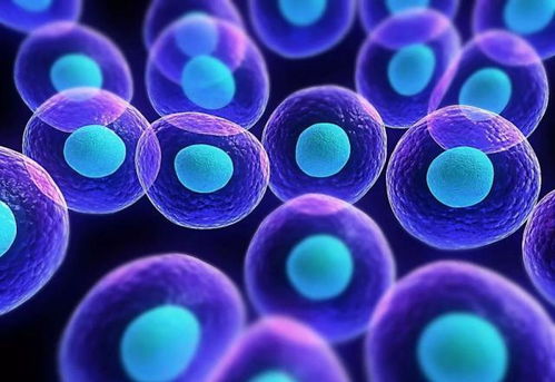 细胞膜：生命的守护者