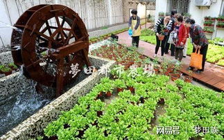 改过围墙，省钱又省心