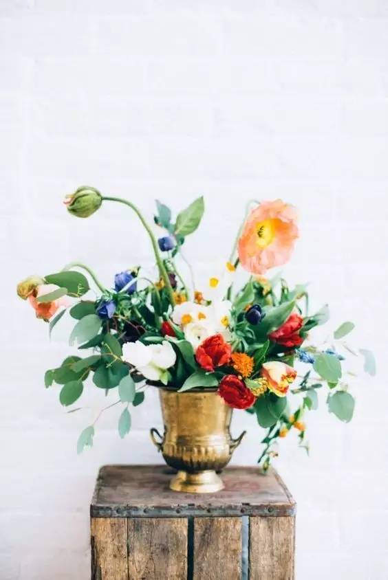 种花小窍门：花盆的选择，你真的懂吗？