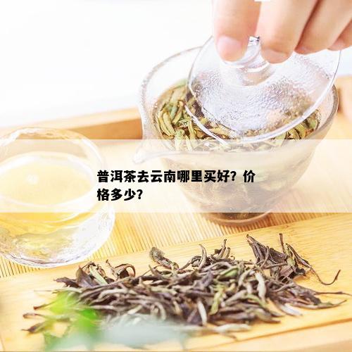 嫩芽初上：时光集茶叶价格查询及购买指南