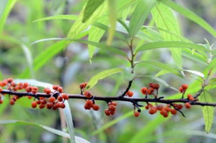 先说说说干旱缺水