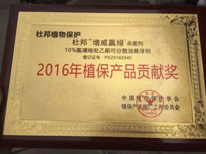 一、 杜邦增威赢绿：治疗晚疫病的良药