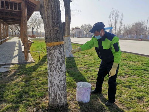 传统石灰硫磺配方的应用
