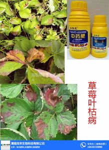 夏季种植，科学选剂