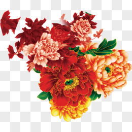“牡丹花素材，哪家网站最全