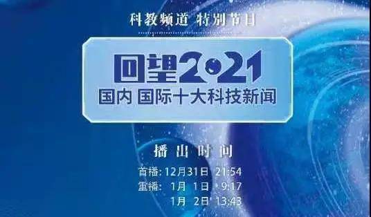 揭秘：茶油与金龙油的五大差异，选购指南大公开！