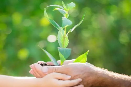 苯醚甲环唑的剂型和注意事项