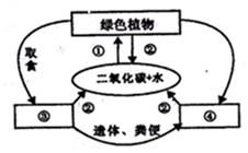 农业灌溉：水循环教学的关键步骤及其深远意义