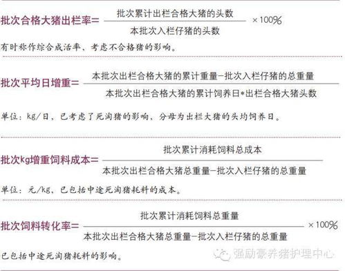 膨化饲料喂猪技术突破后如何进行效益核算和分阶段应用？
