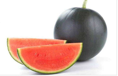 先正达西瓜种子和其它种子区别