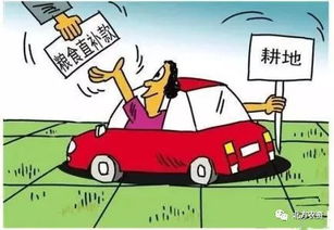 补贴政策与限制使用