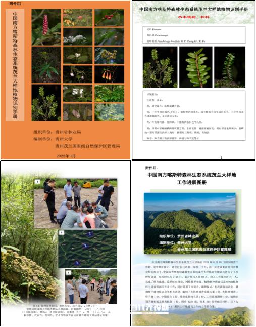 当前木质鉴别软件的局限与挑战