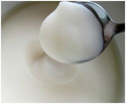 石上藕，生长于石缝间