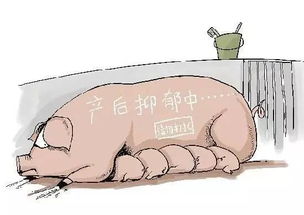 入秋母猪温差大、掉膘、不发情怎么办？