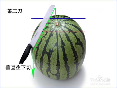 西瓜怎么切才好看？图解教你一刀两半