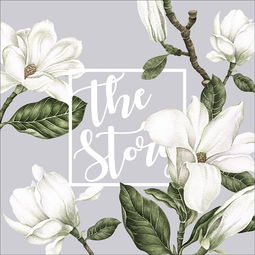 一、玉兰黄褐斑是什么鬼？