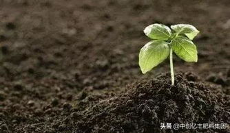 草甘膦：好还是坏？