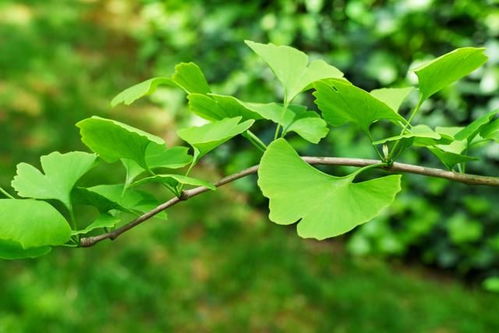 步骤一：挑选种子， 像选朋友一样认真