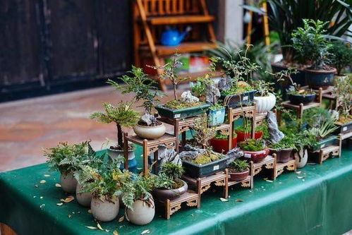 什么是移步换景手法？