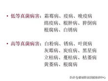 实验证明，效果显著