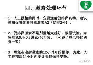 优化养殖技术，提升繁殖效率