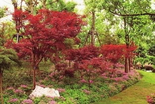 园林草本， 五彩斑斓的绿色画卷