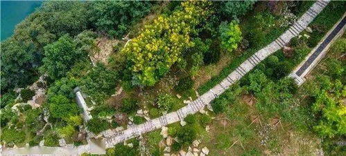 绿化用地与种植土回填， 监理的“绿色手艺”