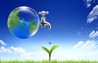 玉珠东云水化之谜：独特气候与土壤滋养