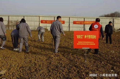 南阳市中医药发展的新篇章