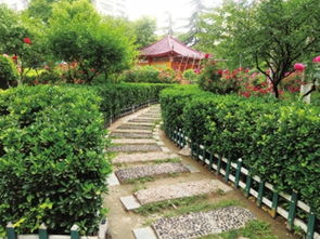 园林对生态环境的调节作用