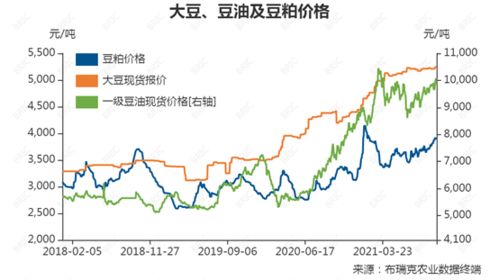 大豆质量指标如何影响豆油、豆粕、豆一期货价格之间的关系？