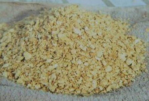 玉米换麸皮，猪肉geng鲜香？粗纤维如何破解蛋白饲料短缺难题？