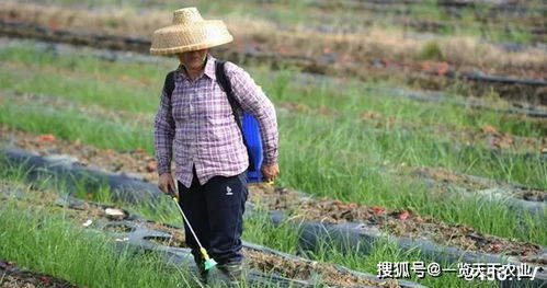 选择合适的时机