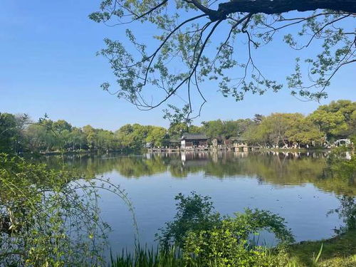 西湖美景，美得让人心醉