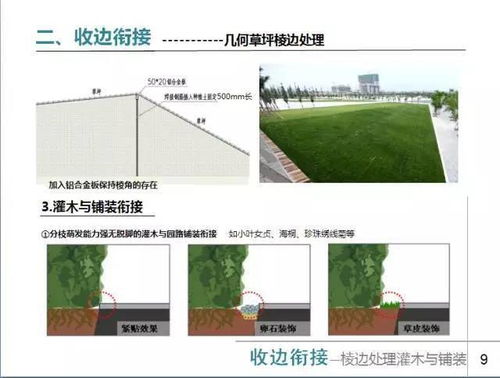 园林绿化工程应急管理小攻略
